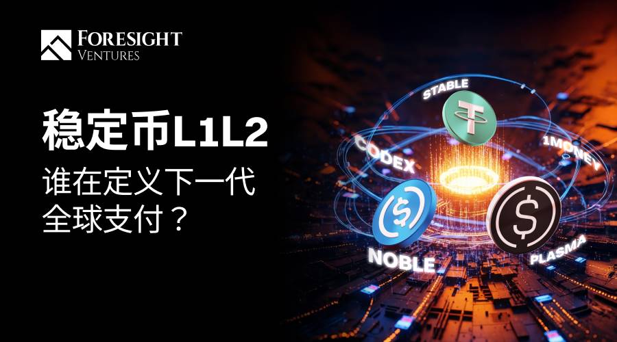 稳定币L1与L2:谁将引领下一代全球支付?