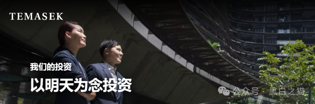 资金盘|“淡马锡控股”遭诈骗碰瓷,新加坡官网设立警报提示......