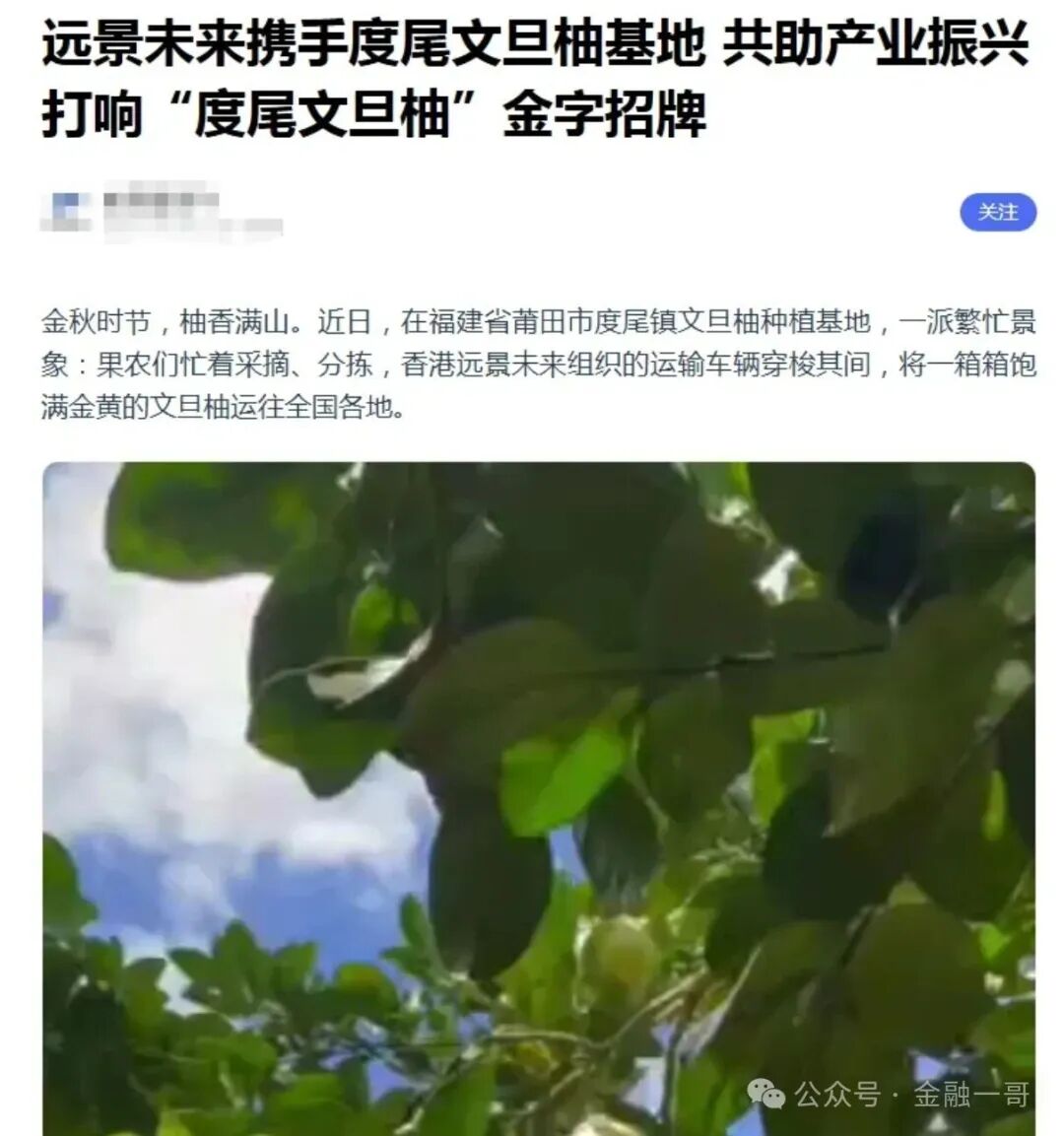 丧心病狂!境外诈骗犯虚构“鸿运万交所”,冒用歌手借 “助残” 之名设局,专骗国人!