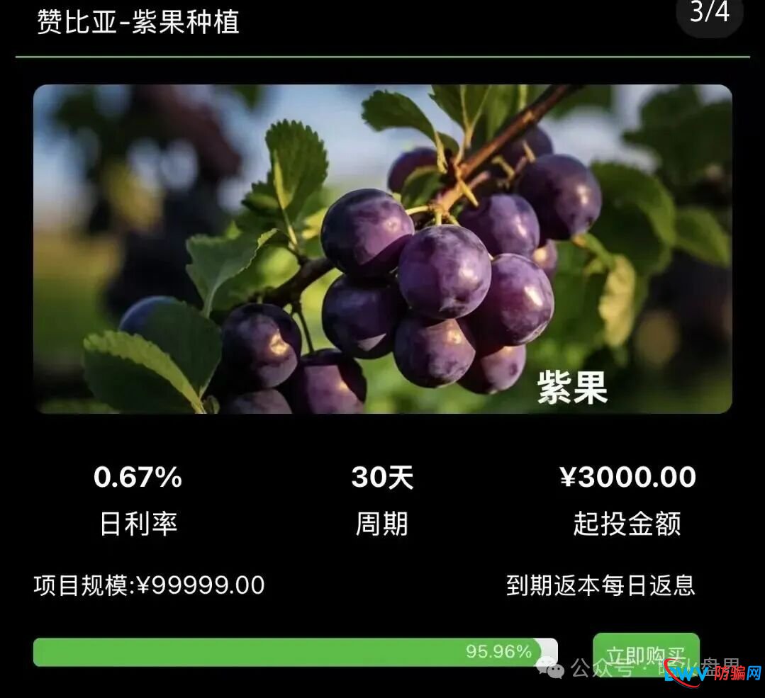 “华洋绿投”海外种果树资金盘骗局，专坑想赚快钱的普通人，随时崩盘跑路！