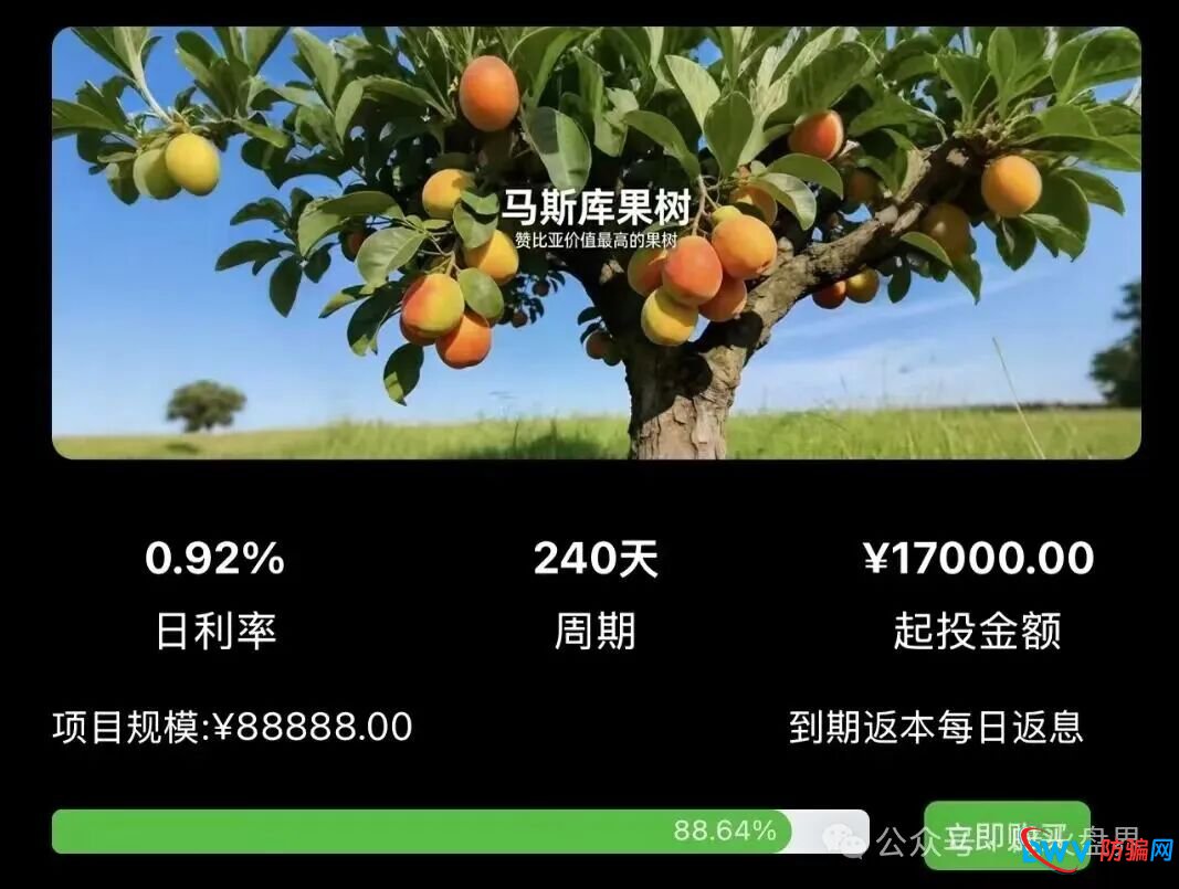 “华洋绿投”海外种果树资金盘骗局，专坑想赚快钱的普通人，随时崩盘跑路！