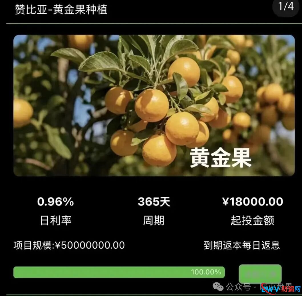 “华洋绿投”海外种果树资金盘骗局，专坑想赚快钱的普通人，随时崩盘跑路！
