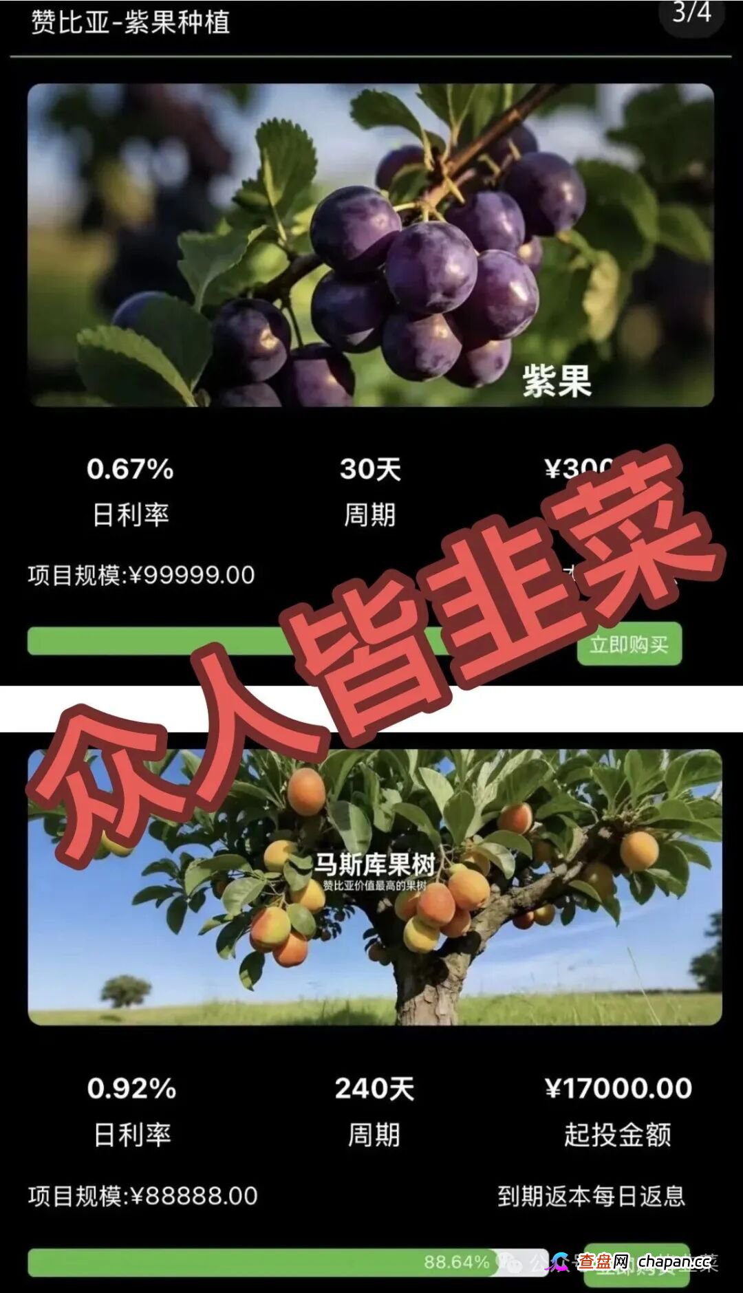 别再送钱了！“华洋绿投，新永安国际，流动未来，智汇社”这4个项目都是骗局，已卷走玩家血汗钱上百亿！赶紧远离！(1)